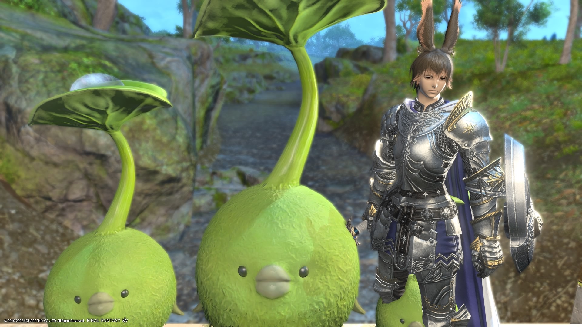 Ff14 極蛮神 ソロ攻略 6 08 ゆいのゲーム日記